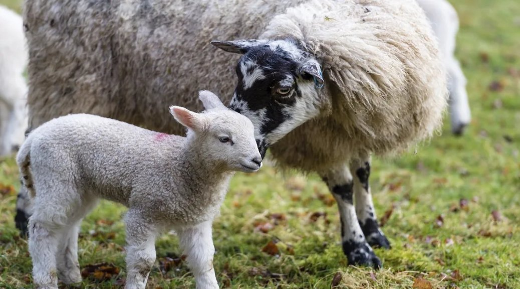 Weekly Roundup 220516