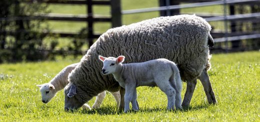 Weekly Roundup 220523