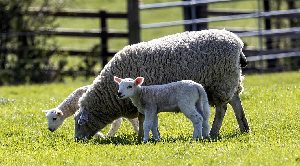 Weekly Roundup 220523