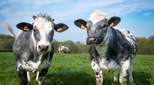 Weekly Roundup 220526 (Weekly Roundup, 30th May 2022)