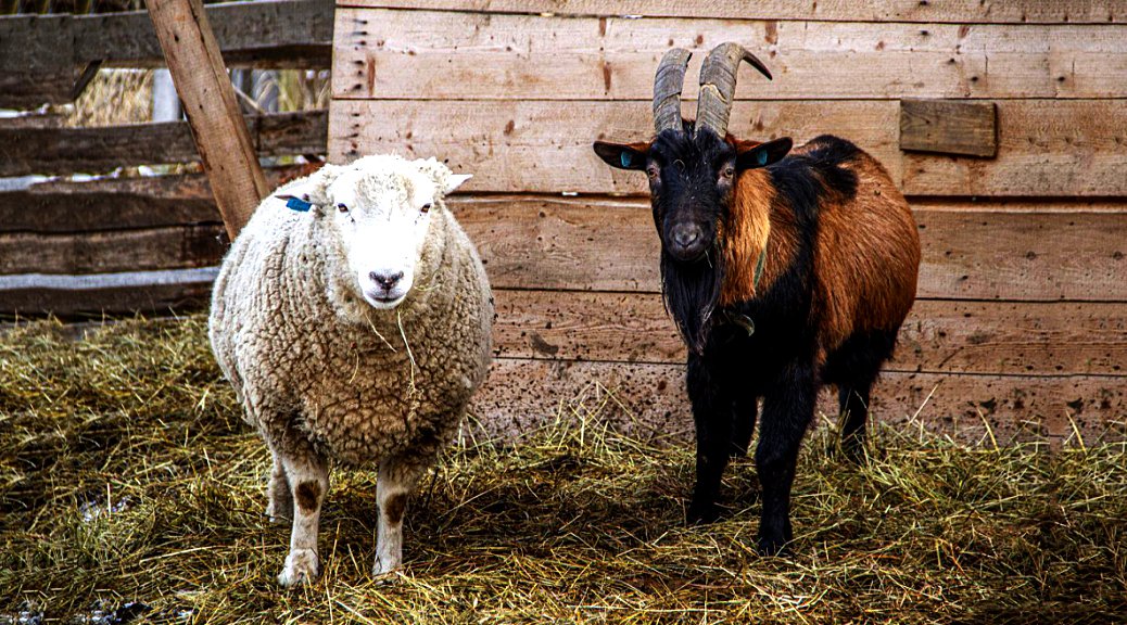 Weekly Roundup 220606