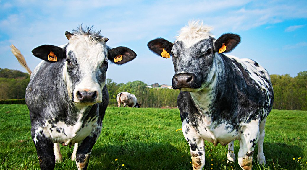 Weekly Roundup 220613