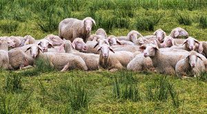 Weekly Roundup 220620 (Weekly Roundup, 20th June 2022)