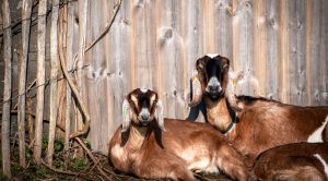 Weekly Roundup 220704 (Weekly Roundup, 4th July 2022)