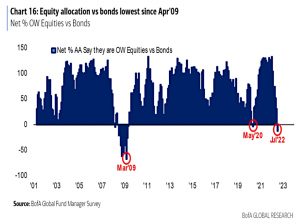 Low equity allocation