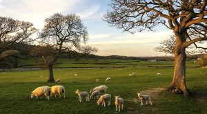 Weekly Roundup 220618 (Weekly Roundup, 18th July 2022)