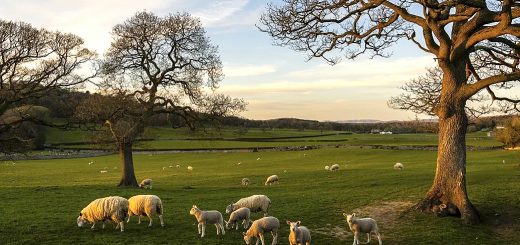 Weekly Roundup 220618