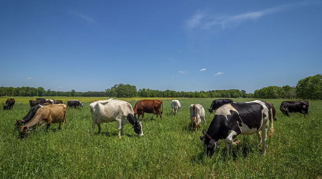 Weekly Roundup 220711