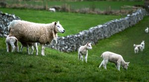 Weekly Roundup 220725 (Weekly Roundup, 25th July 2022)