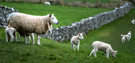 Weekly Roundup 220725