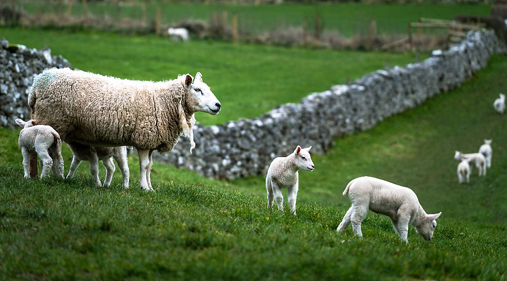 Weekly Roundup 220725