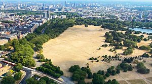 August 2022 (August 2022 &ndash; Trades, Tips and Funds)