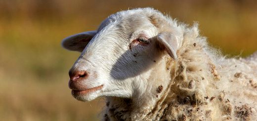 Weekly Roundup 220912