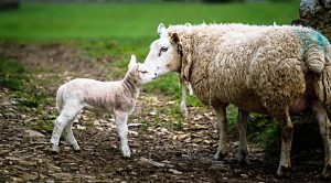 Weekly Roundup 220822 (Weekly Roundup, 22nd August 2022)