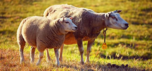 Weekly Roundup 220905