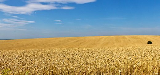 Stock Screeners September 2022