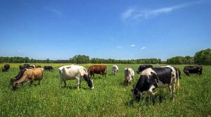 Weekly Roundup 220919 (Weekly Roundup, 20th September 2022)