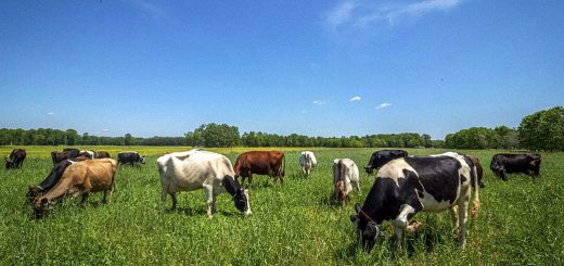 Weekly Roundup 220919