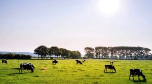 Weekly Roundup 220926 (Weekly Roundup, 1st October 2022)