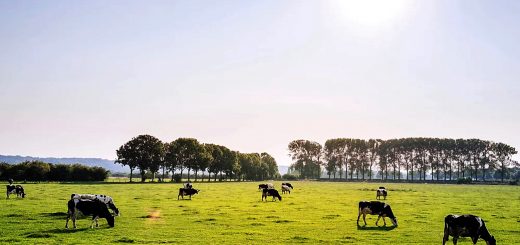 Weekly Roundup 220926