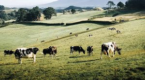 Weekly Roundup 221003 (Weekly Roundup, 4th October 2022)