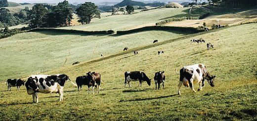 Weekly Roundup 221003