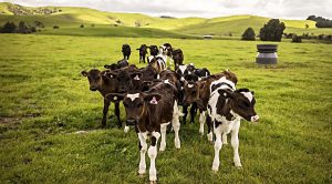 Weekly Roundup 221010 (Weekly Roundup, 10th October 2022)