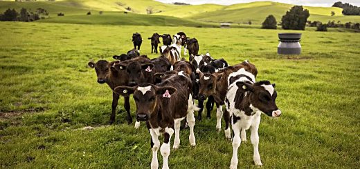 Weekly Roundup 221010