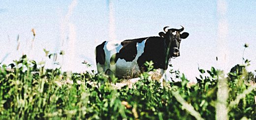 Weekly Roundup 221017