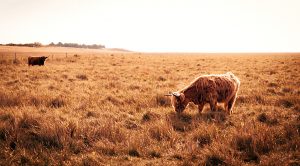 Weekly Roundup 221024 (Weekly Roundup, 24th October 2022)