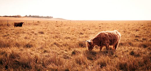 Weekly Roundup 221024