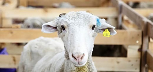 Weekly Roundup 221031