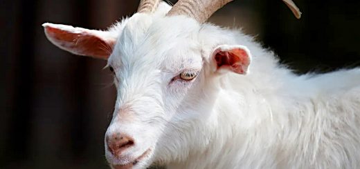 Weekly Roundup 221114