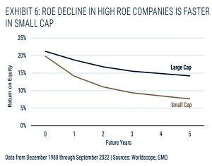 Rapid decline in high ROE Small Cap
