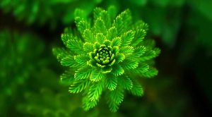 Trend and Macro &ndash; AQR (Trend and Macro &ndash; AQR)