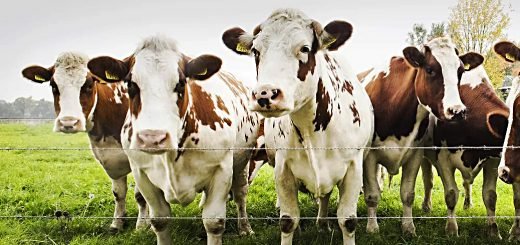 Weekly Roundup 221212