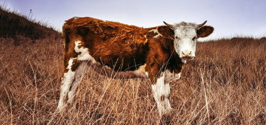 Weekly Roundup 221219