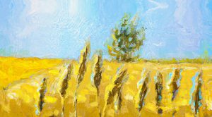 Stock Screeners January 2023 (Stock Screeners January 2023)