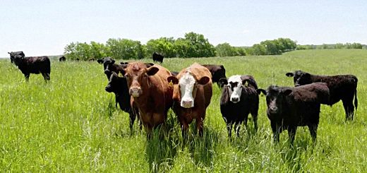 Weekly Roundup 230103