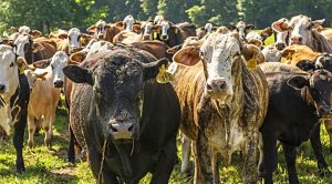 Weekly Roundup 230109 (Weekly Roundup, 9th January 2023)