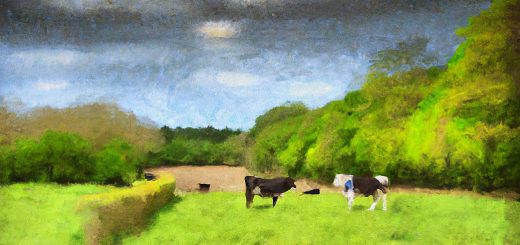 Weekly Roundup 230213