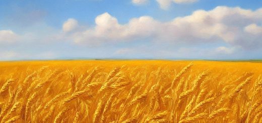 Stock Screeners March 2023