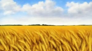 Stock Screeners April 2023 (Stock Screeners April 2023)