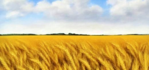 Stock Screeners April 2023