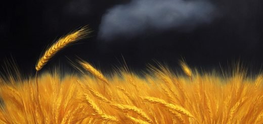 Stock Screeners May 2023