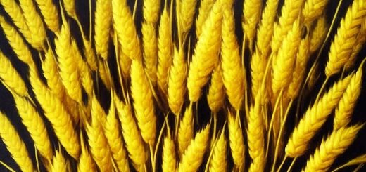 Stock Screeners July 2023