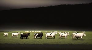 Weekly Roundup 230717 (Irregular Roundup, 17th July 2023)