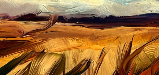 Stock Screeners September 2023