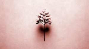 Keep it Simple (Keep it Simple)