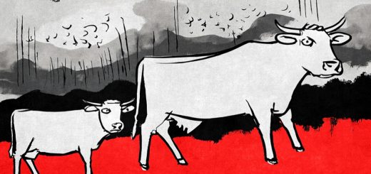 Weekly Roundup 231204